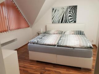 Apartmán V aleji - Slavkov u Brna - 1