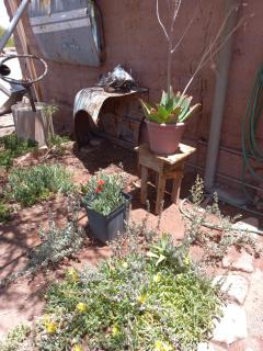 Casa Buenavista - San Pedro de Atacama - 4