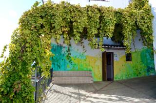 EcoAlbergue Rural de Algodonales - Algodonales - 7