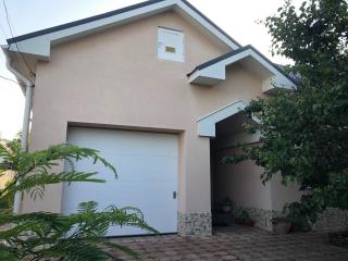 УЮТНЫЙ ДОМ ДЛЯ ОТДЫХА, город-Бендеры ,Приднестровье - 9