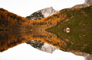 Haus Bergzauber - Ramsau am Dachstein - 5