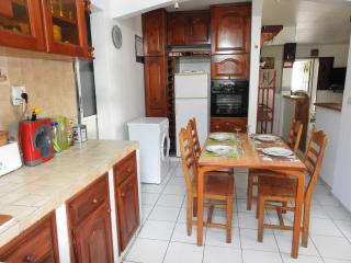 Villa Nanou , villa de plein pied avec joli jardin - Bouillante - 1
