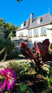 La Villa Saint Martin - Cournon - 4