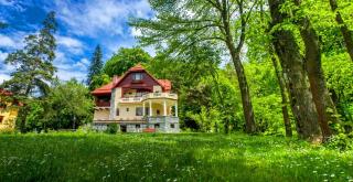Pensiunea Boema - Sinaia - 9