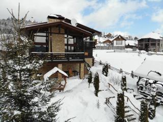 Stara Pravda Villas - 4