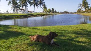 Apart Resort Vila das Águas Veraneio - 7