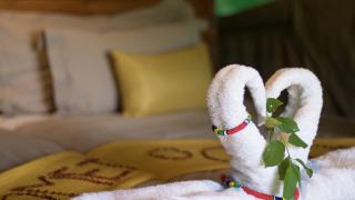 O Bona Moremi Safari Lodge - 4