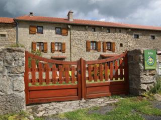 Gîte spacieux et rénové avec équipements modernes, terrasse et vaste jardin près de Gévaudan et Margeride - FR-1-582-301 - Thoras - 8