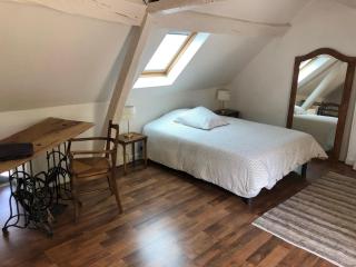 Le Grand Appartement - 90m2- 2 chb , 1 mezzanine - 6pers - Romorantin-Lanthenay - 1