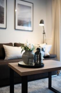 Premium Apartments Terme Sveti Martin - Sveti Martin na Muri - 9