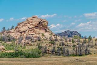 Super 8 by Wyndham Laramie - 3