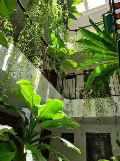 Nicobar Con Dao Hotel - 3