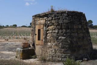 La Casa del Lino - Torrebeses - 2
