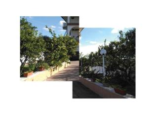 Sempre verde - 7
