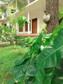 Yonara Green Rest - Habarana - 4