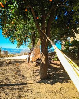 Verde Água Agroturismo e Agricultura Biológica - 5