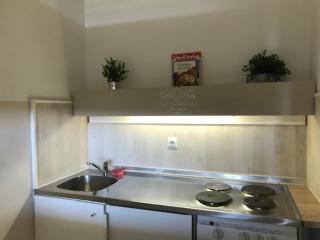 Panoramic Apartments Hohegeiß - 1