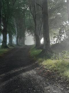 Springbank Cabin - 4