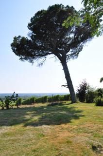 CLOS SAINT SAUVEUR - guesthouse au coeur des vignes sur le coteau - Saint-Pierre-dʼAurillac - 6