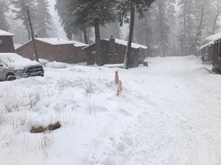 The Cabins at Cloudcroft - Cloudcroft - 5