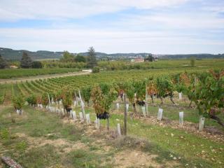 Villa la Fontaine - Vire-sur-Lot - 6