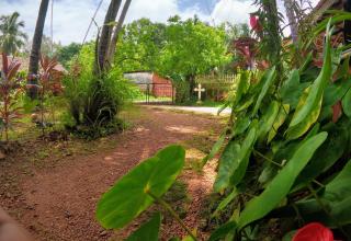 Maria's Homestay by Vyom Trails - 0