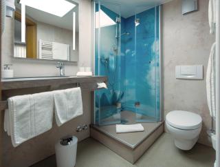 Landgasthof Blaue Traube - 4