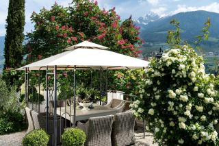 Hotel Chalet Gravenstein - Tirol - 9