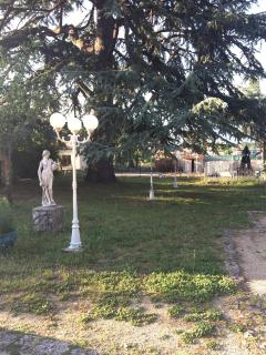 Le Parc aux Cedres - 4