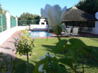 Olive Grove Guest Farm - Beaufort West - 1