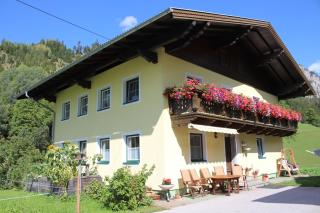 Appartement Gleiminger - Forstau - 1