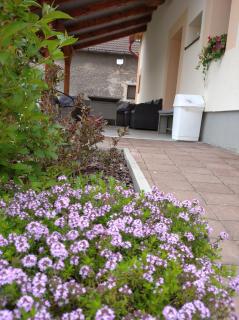 Apartmány Opolany - Opolany - 7