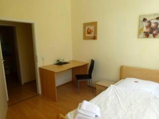 Forsthaus Appartements - Braunschweig - 2