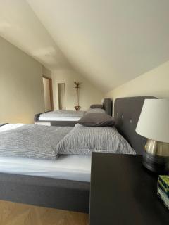 Koliko apartman - Mohács - 3