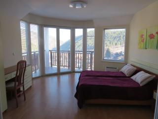 Panoramic Apartment 301 in Eagle Rock Complex - 1