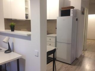 Triada apartament near the park and river Daugava - 1