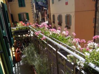 B&B Fiume Bianco - Fiumalbo - 2