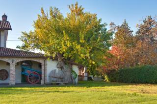 La Fattoria - Santarcangelo di Romagna - 8