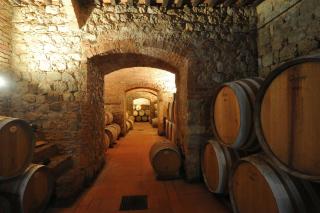 Fattoria Lornano Winery - Monteriggioni - 2