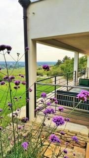 La Maison de l'Ecu : charme et vue incroyable - Beaune - 3