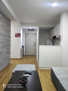 Nala Apartment near Skopje city centre - 7