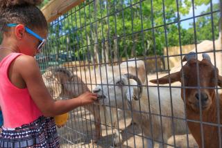 Phoenix 6 Unit 615 - 6