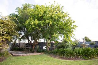EdenValley Private Manicured Gardens with Fire Pit - Parkes - 8