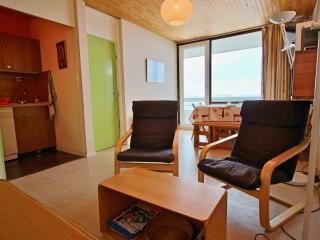 Appartement spacieux au pied des pistes avec balcon - FR-1-340-54 - Chamrousse - 0
