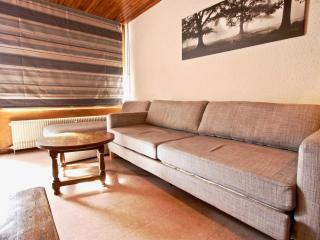 Appartement rénové 6 pers. plein sud, balcon, centre station à 50m des pistes - FR-1-340-147 - Chamrousse - 8