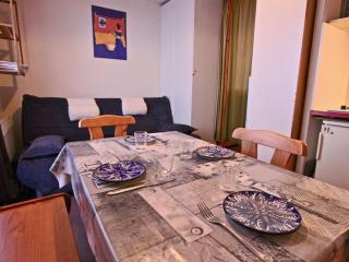 Studio 3 places au pied des pistes avec balcon et animaux acceptés - Chamrousse 1750 - FR-1-340-175 - 7