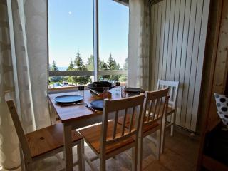 Studio cabine pour 4 personnes, 3* au pied des pistes à Chamrousse 1750 - FR-1-549-22 - Chamrousse - 7