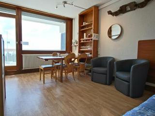 Studio cabine 27m², sud, pied des pistes, balcon, piscine été, animaux OK - FR-1-549-48 - Chamrousse - 7