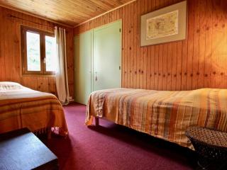 Chalet panoramique à Chamrousse - Terrasse sud, Wi-Fi, à 200m des pistes - FR-1-340-232 - Chamrousse - 1