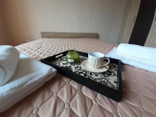 Statevi Guest Apartment - Velingrad - 7